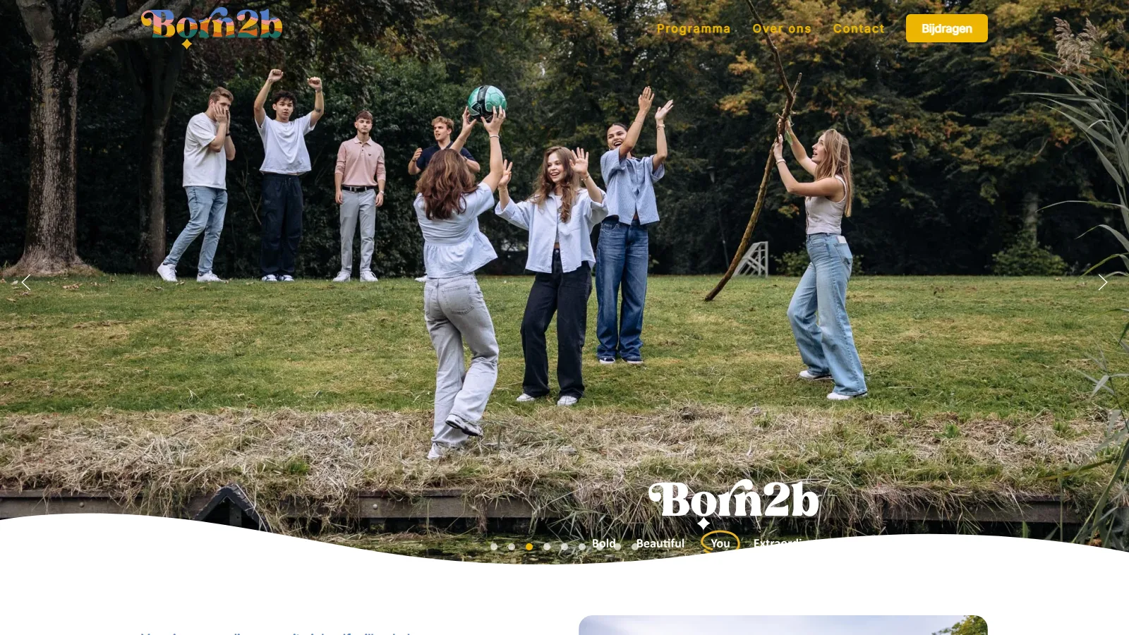Website van Born2b